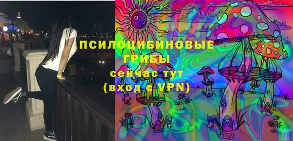 героин Алексин