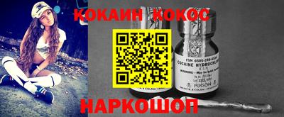 молекула духа Шелехов
