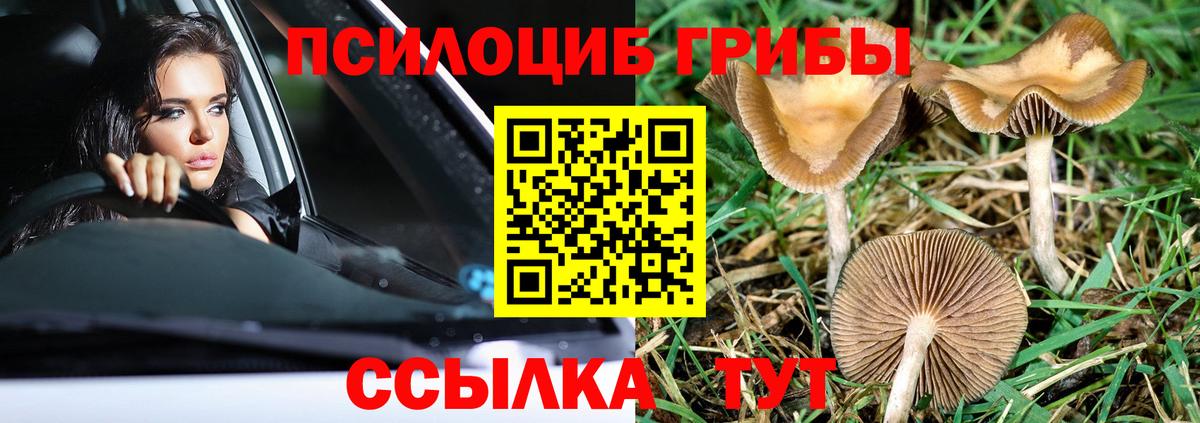 Псилоцибиновые грибы мухоморы Бирск
